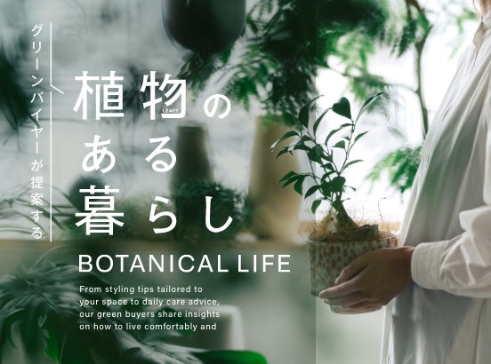 ＜バイヤーがご紹介＞インテリアを素敵にする植物の楽しみ方