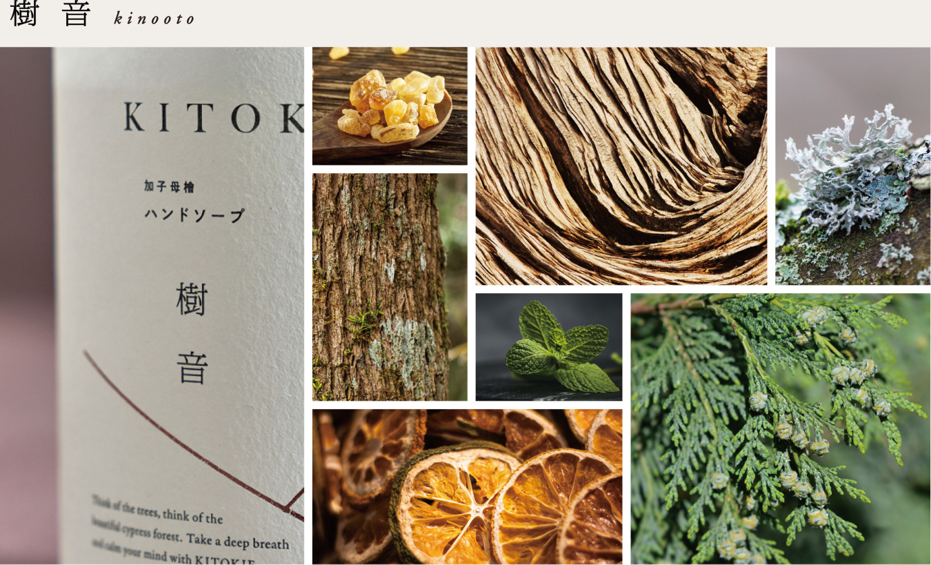 樹音 kinooto