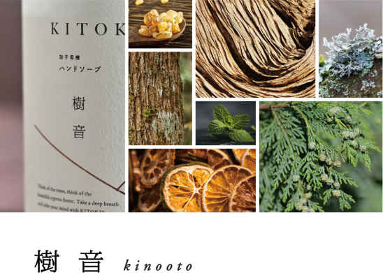 樹音 kinooto