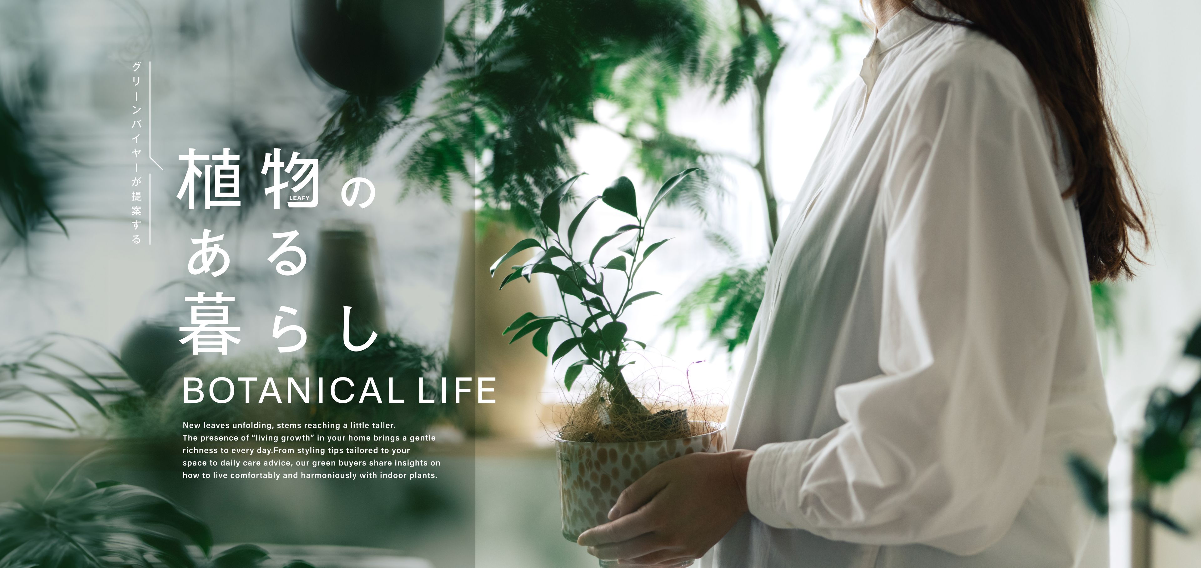 植物のある暮らし