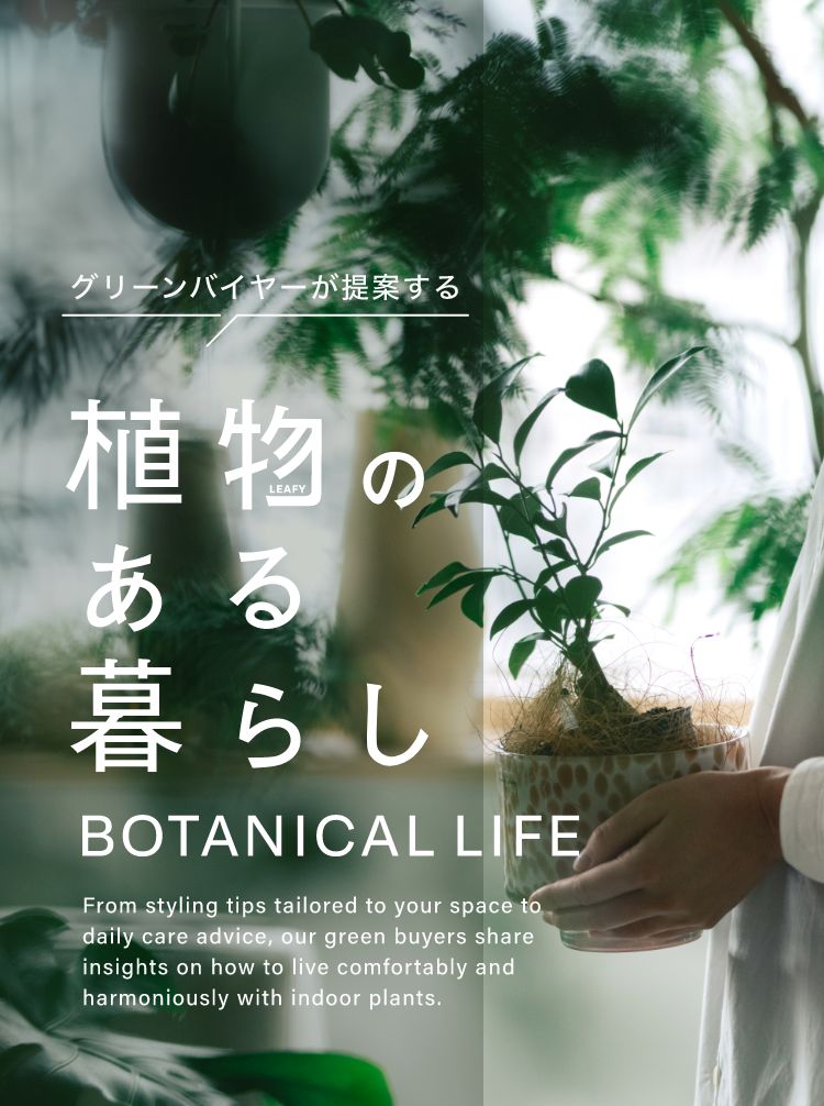 植物のある暮らし