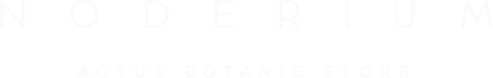 NODERIUM