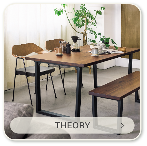 THEORY